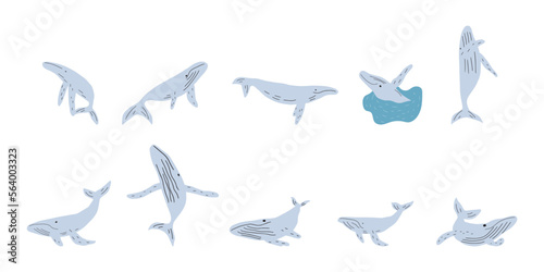 Whale, ocean animal. Sealife in Scandinavian style on a white background. Great for poster, card, apparel print. Vector illustration