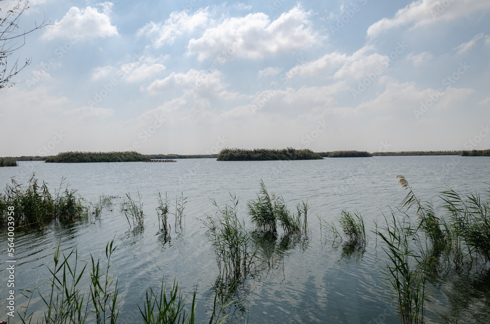 Al Karaana Lagoon for watching Migratory Birds in Qatar