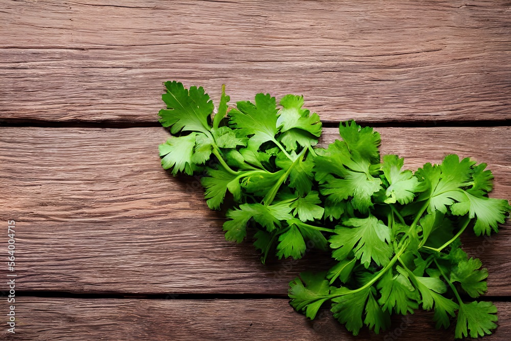 cilantro, ciliander leaves on wooden surface cilantro, ciliander leaves on wooden surface