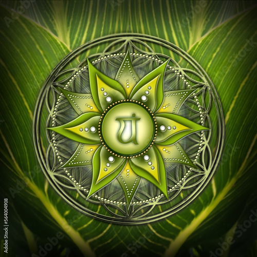 HEART CHAKRA (4. Chakra, Anahata) on mystical Flower of Life background. It stands for: Acceptance, Love, Compassion, Sincerity. Affirmation: "I LOVE”)