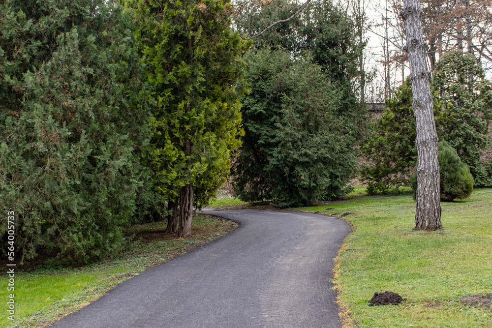 a walkway in the arboretum, flanked by trees, bushes and lawn