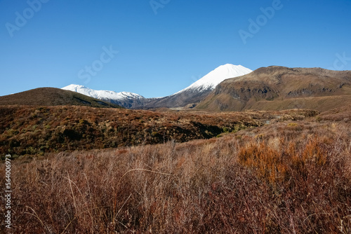 Rolling landscape of alpine vegetation leading to conical volcanic cone of Mount Ngauruhoe