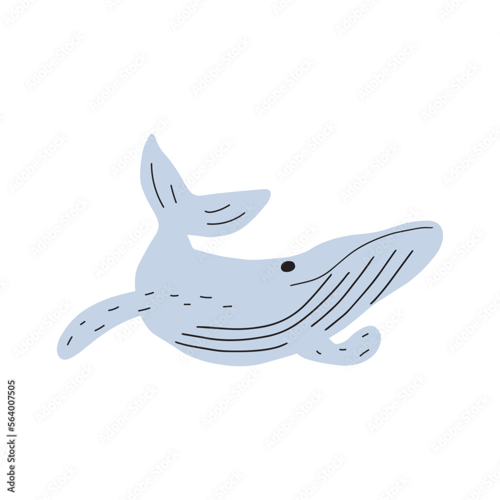 Whale, ocean animal. Sealife in Scandinavian style on a white background. Great for poster, card, apparel print. Vector illustration Whale, ocean animal. Sealife in Scandinavian style on a white background. Great for poster, card, apparel print. Vector illustration