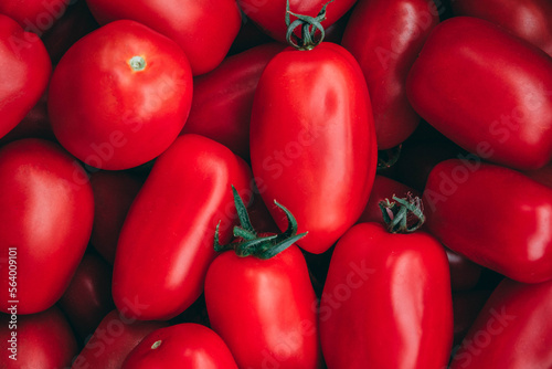 San Marzano Tomatoes © Tina Jenner