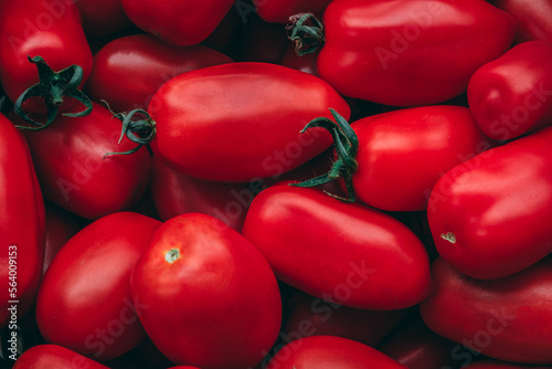 San Marzano Tomatoes © Tina Jenner