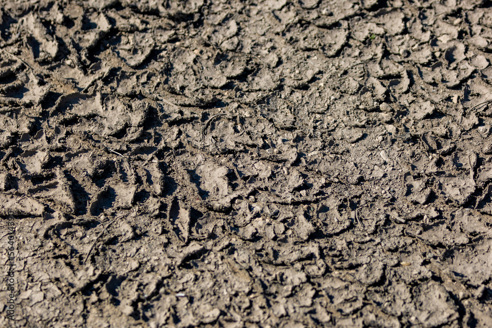 Curled Mud Background Texture Curled Mud Background Texture
