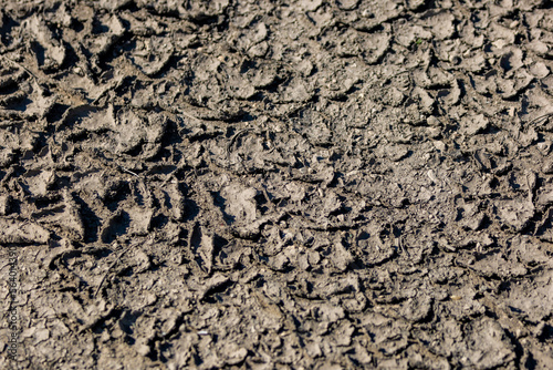Curled Mud Background Texture