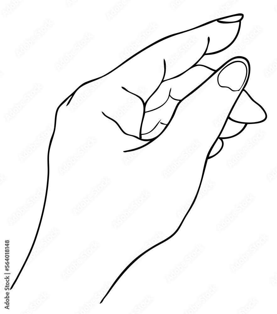 Hand Drawn Sketch of Hand Signs Gestures, Pointing, Touching or Holding.
Hand Drawn Sketch of Hand Signs Gestures, Pointing, Touching or Holding.