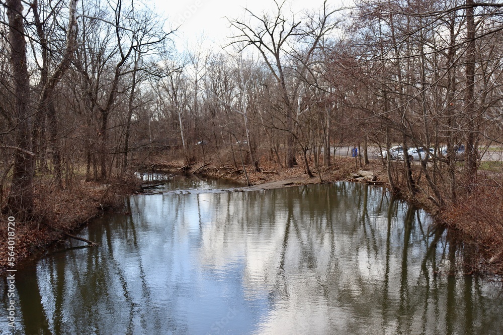 The flowing creek in the woods of the park. The flowing creek in the woods of the park.