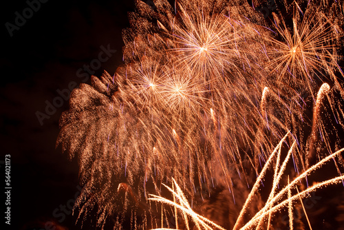 Fireworks Light Up the Sky. Beautiful New Year Fireworks. Dark Sky. Explosion. Abstract Colored Firework Background