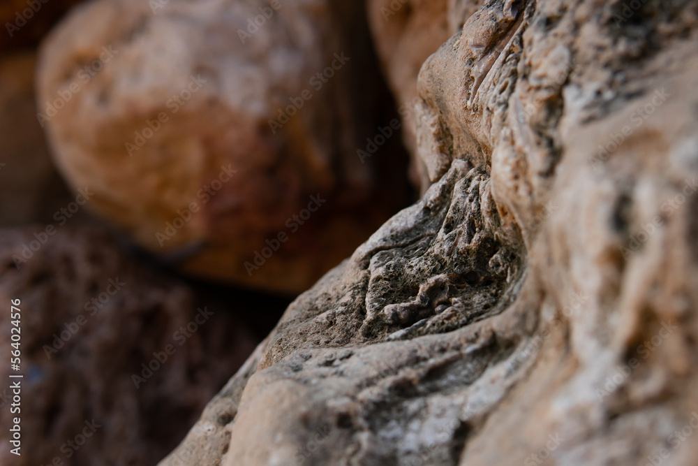 Fototapeta premium natural eco background. rock texture in the foreground closeup with blurred background