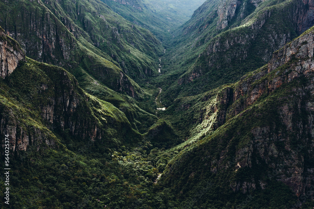 Fototapeta premium landscape with mountains