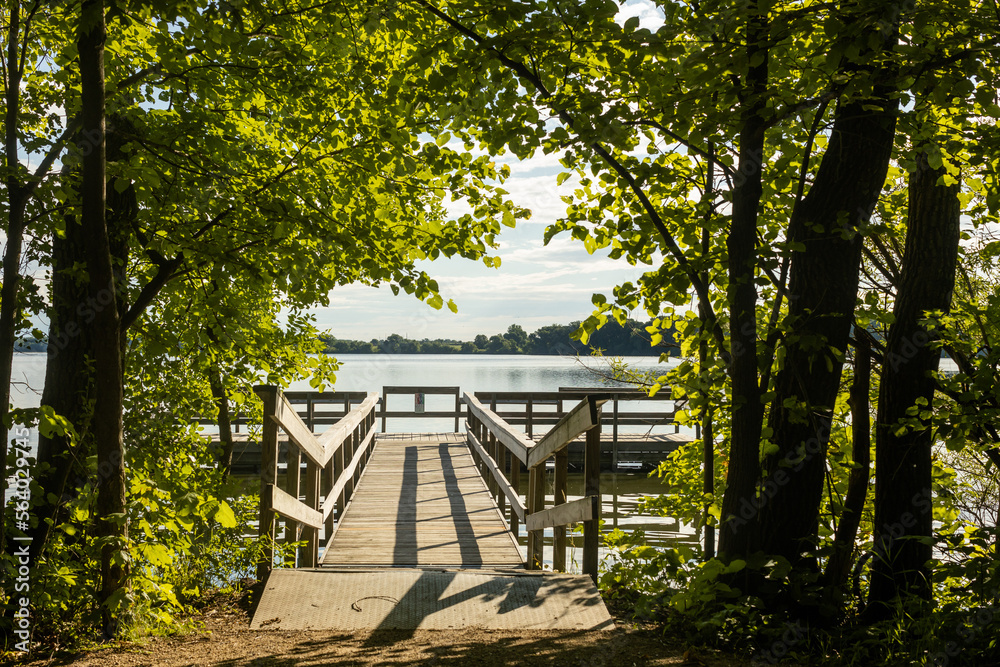 Dock on lake surrounded by trees Dock on lake surrounded by trees