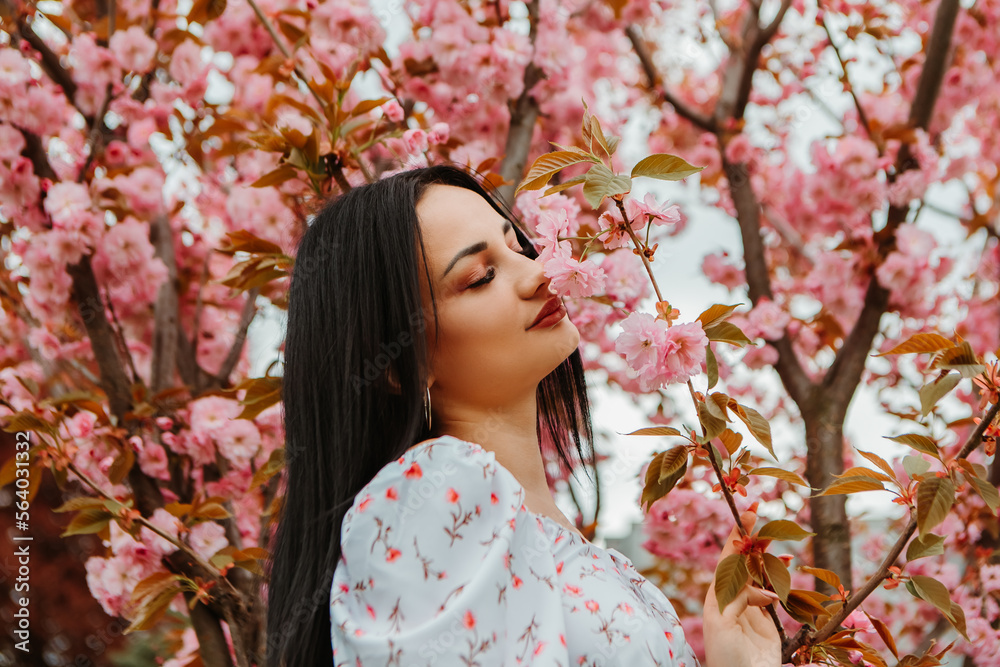 Portrait of beautiful tender woman dressed pink flowery dress posing near sakura cherry blossoms blooming flowers in the garden park in early spring. Hanami celebration, Japanese festival
Portrait of beautiful tender woman dressed pink flowery dress posing near sakura cherry blossoms blooming flowers in the garden park in early spring. Hanami celebration, Japanese festival