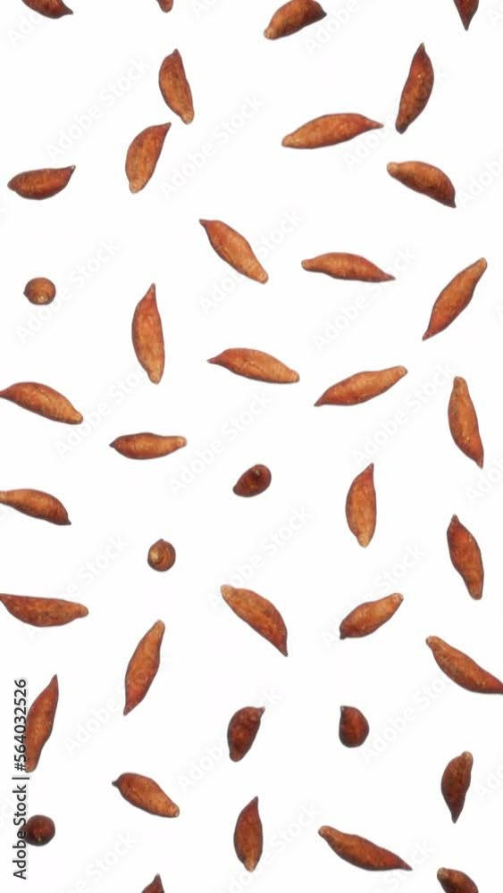 Vertically composed looping animation featuring a cloud of Sweet Potatoes falling endlessly on white background. Vertically composed looping animation featuring a cloud of Sweet Potatoes falling endlessly on white background.