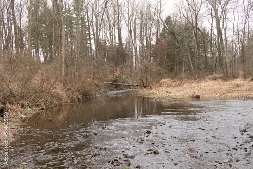 I always love to take a picture of this area. This is pigeon creek in the East Coventry township. The pretty browns of the wilderness shows the classing look of Autumn.