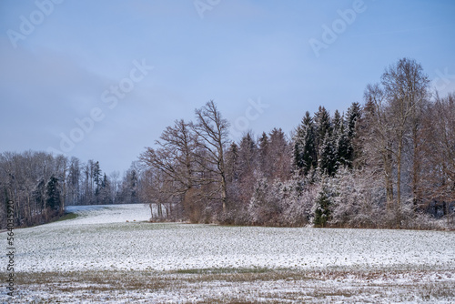 Winter Wonderland photo