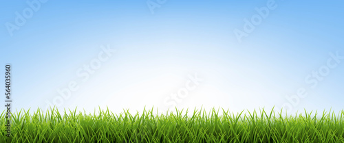 Green Grass With Blue Sky