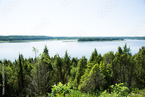 lake and forest