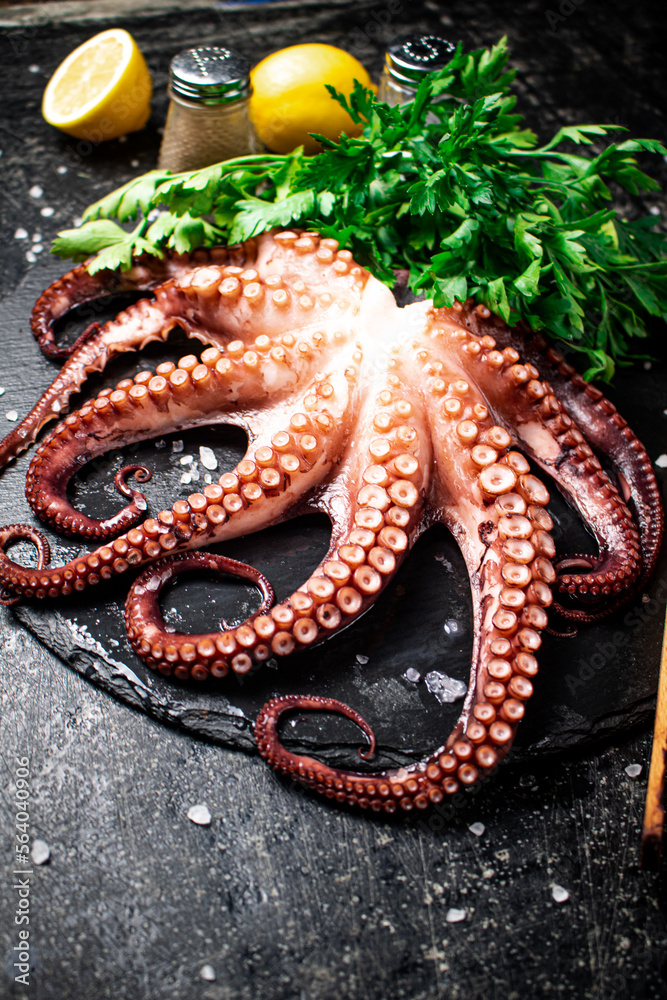 Fototapeta premium Fresh octopus on a stone board.
