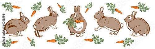 rabbits with yummy carrots character set