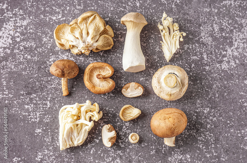 Composition with fresh mushrooms on grunge background