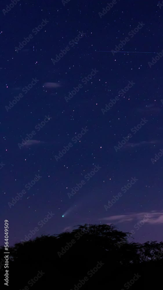 cometa neowise
