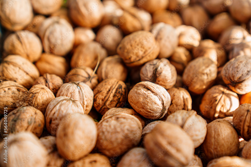 boxes of walnuts. harvesting nuts on the farm. boxes of walnuts. harvesting nuts on the farm.