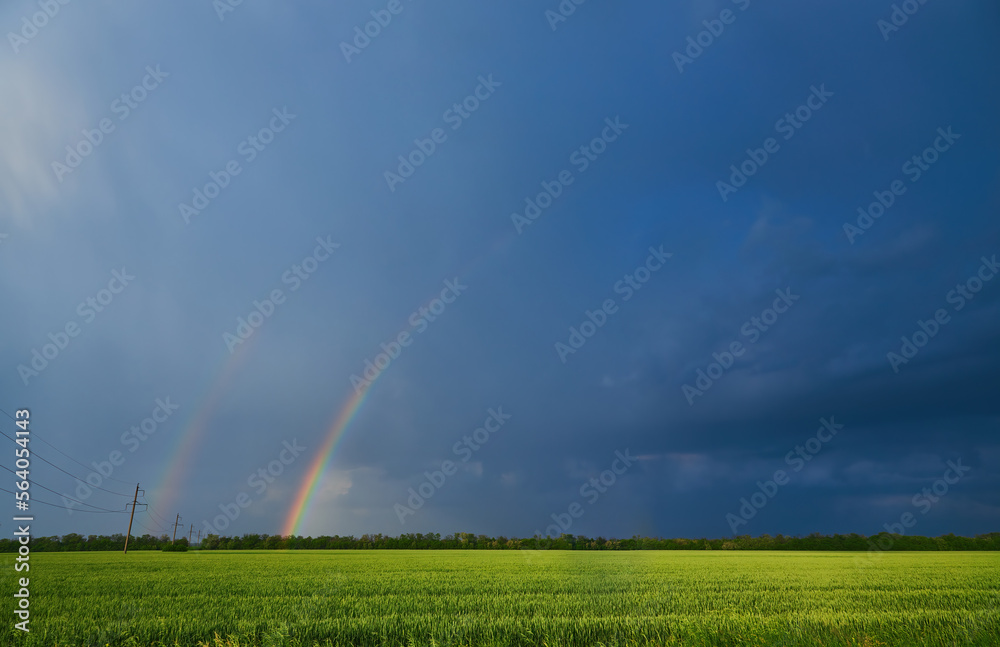 Double bright colorful rainbow in front of gloomy ominous clouds above an agricultural field planted Double bright colorful rainbow in front of gloomy ominous clouds above an agricultural field planted