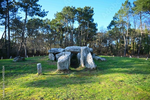 Dolmen en Bretagne, terre de mégalithes
