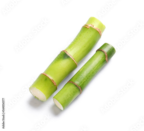 Green branches of bamboo isolated on white background