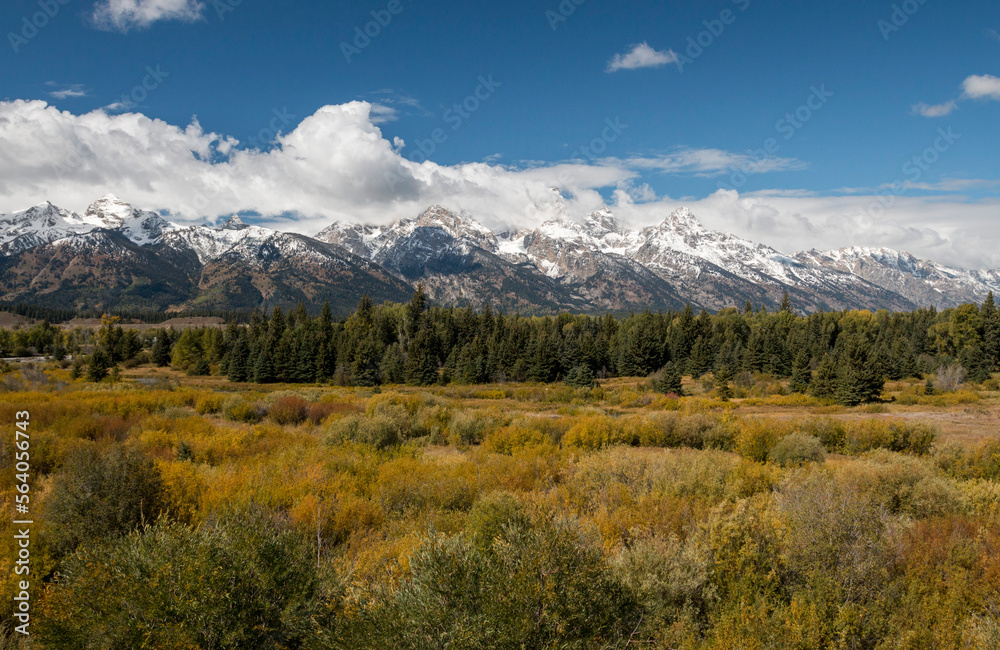 Blacktail Ponds Overlook