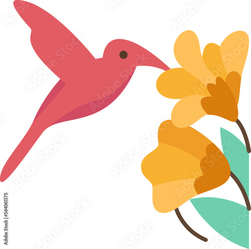 hummingbird  icon