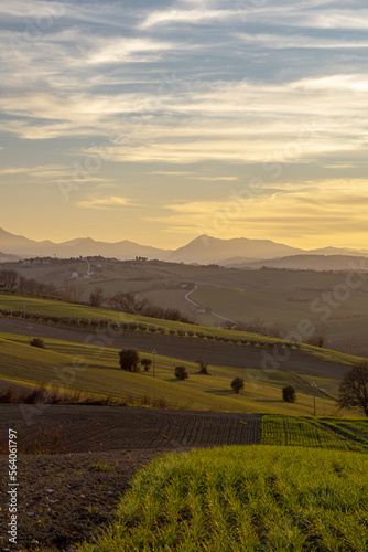 Veduta al tramonto sulle colline marchigiane vicino a Jesi, Marche.
