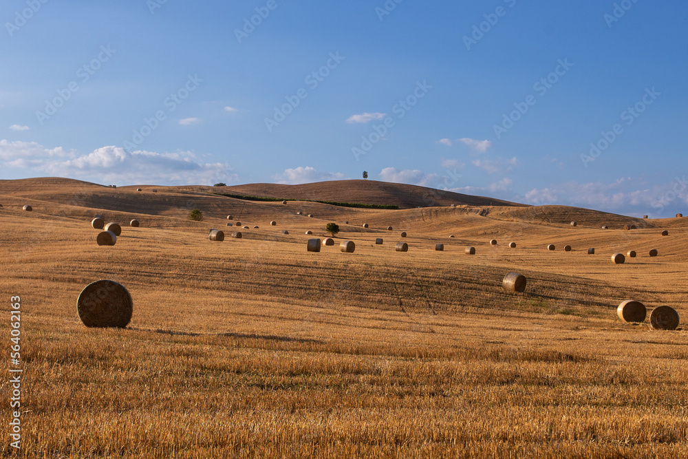 Fototapeta premium Panorama sulle colline della Val d'Orcia di fronte a Pienza, Toscana.