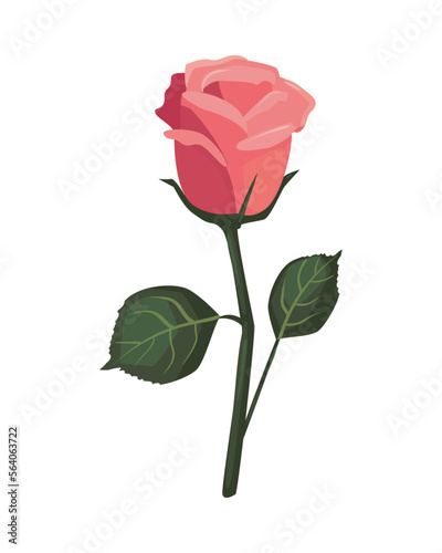 flat beautiful rose design