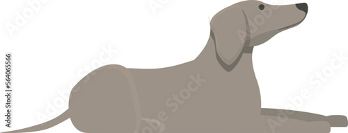 Greyhound relax icon cartoon vector. Dog animal. Sprint canine