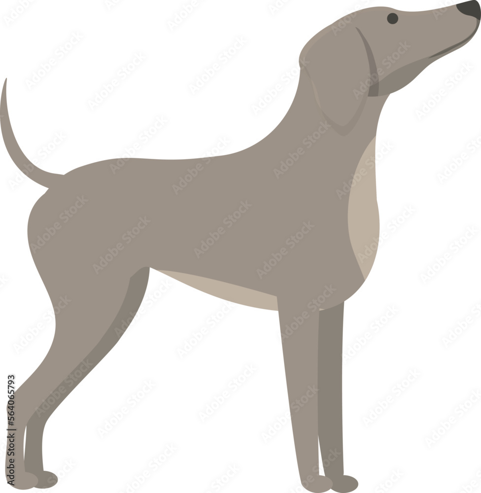 Greyhound waiting food icon cartoon vector. Run animal. Sprint canine