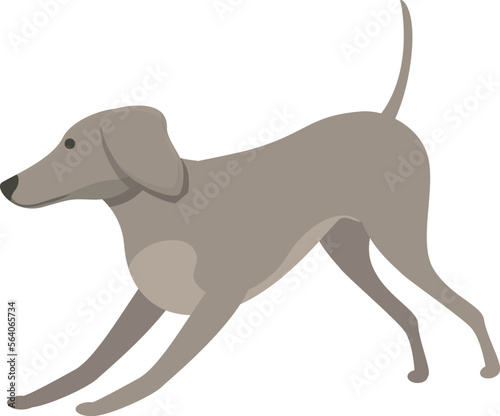 Greyhound play icon cartoon vector. Animal run. Canine sprint