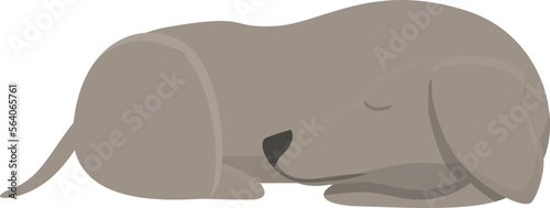 Greyhound sleep icon cartoon vector. Animal dog. Canine sprint