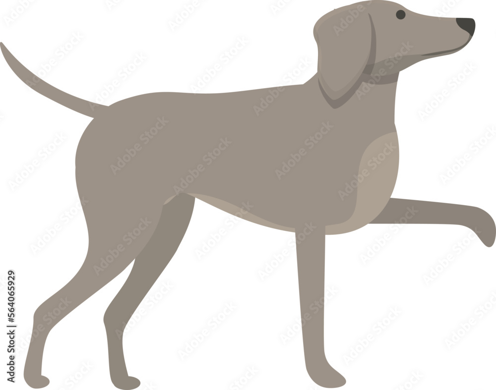 Domestic pet icon cartoon vector. Greyhound animal. Animal canine