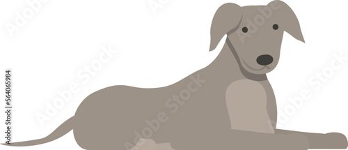 Cute dog icon cartoon vector. Animal greyhound. Sprint canine