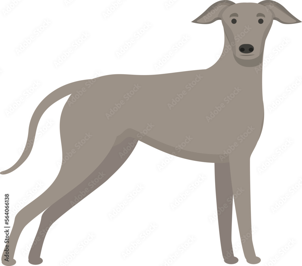 Greyhound icon cartoon vector. Animal run. Canine race