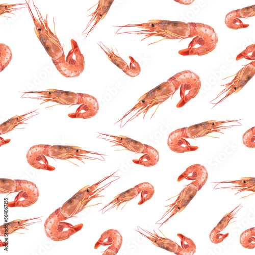 Pattern with argentine shrimp on isolated white background.