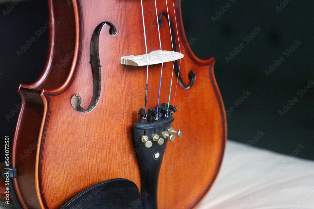 Wooden violin body in brown color Wooden violin body in brown color