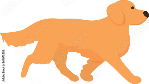 Walking golden retriever icon cartoon vector. Pet canine.
