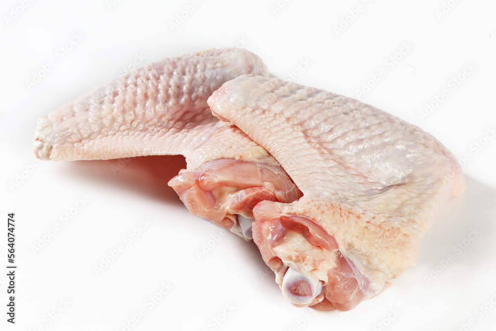 fresh turkey or poultry meat isolated on white background fresh turkey or poultry meat isolated on white background