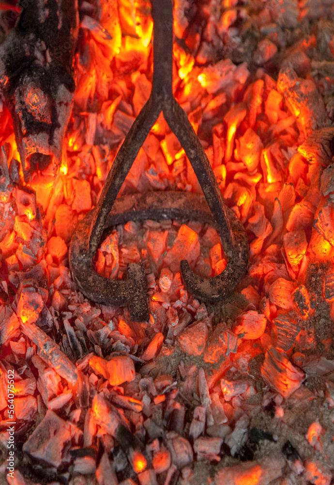 Branding iron for cattle over embers