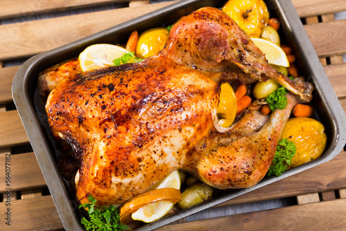 Whole roasted turkey with apples, pumpkin, potatoes, carrots and greens in baking dish..