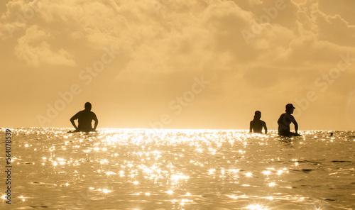 SURF 